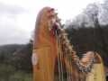 Keltská háčková harfa
