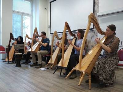 koncert-harfy-domov-vyskov_denik